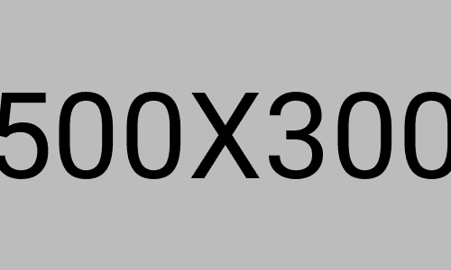 How to build work culture for <br> young office?